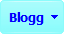 Blogg